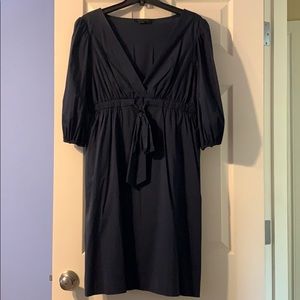 Long sleeve v neck height waisted BCBG dress